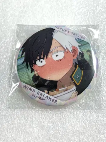 WIND BREAKER 사쿠라 하루카 백면상 캔뱃지 vol.3