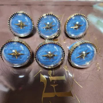 하루카 세카라이 5th 링 라이트