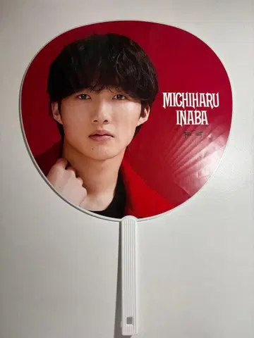 B&ZAI 이나바 미치하루 공식 부채