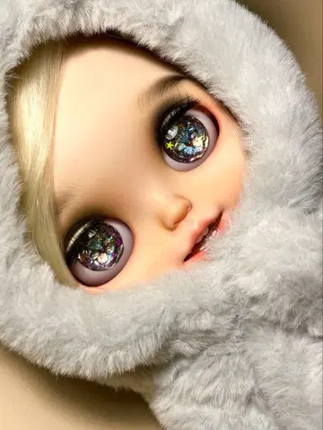 브라이스 아이칩 발 포함 아이칩