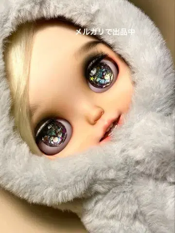 브라이스 아이칩 발 포함 아이칩