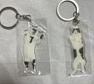 이치타와 미치루쨩의 아크릴 키링