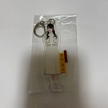 노기자카46 카키 하루카 보도교 개별 전신 아크릴 키링