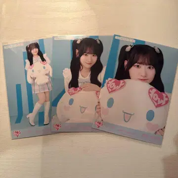 이코럽 사이토 지아 시나모롤 2025 브로마이드 컴프 시나몬