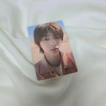 cortis 주훈 hmv 트레이딩 카드