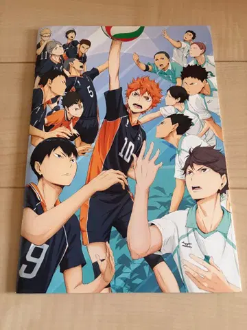 하이큐!! 승자와 패자 팜플렛 파일