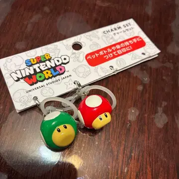 슈퍼 닌텐도 월드 참 세트