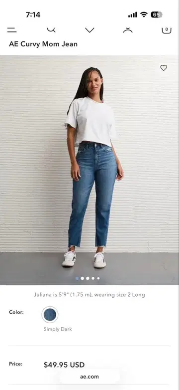 American Eagle Curvy Mom Jean