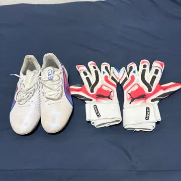 푸마 축구 스파이크 그로브 세트