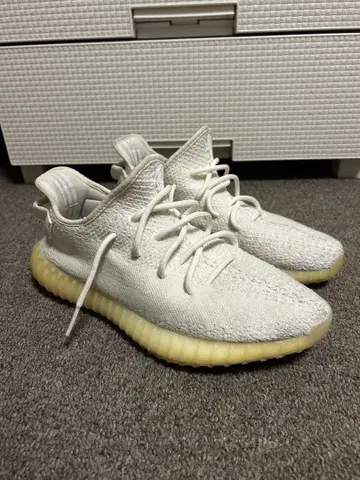 이지 부스트 350 yeezy boost 350v2