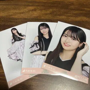 세토구치 신게츠 브로마이드 컴프