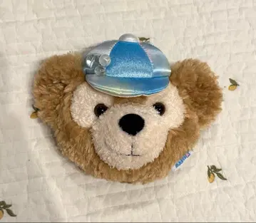 바케이션 패키지 더피 패스 케이스