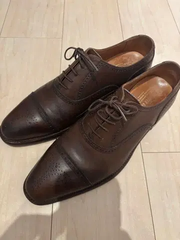 스코치 그레인 25.5cm HA9040