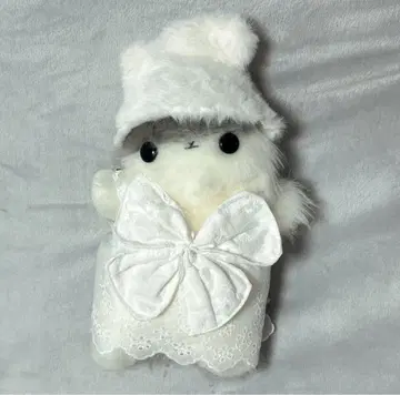 비스킷 모시모시