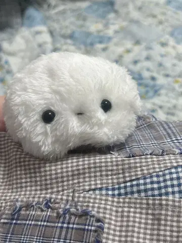 아이스 유령의 삼남