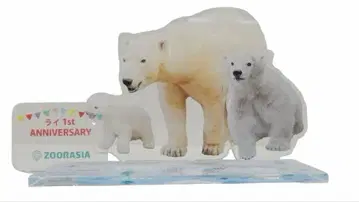 요코하마 동물원 즈라시아 북극곰 아크릴 스탠드