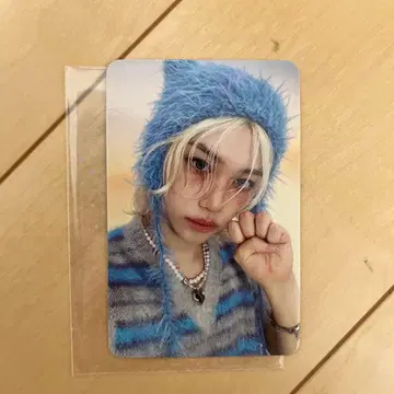 필릭스 트레이딩 카드 스키즈