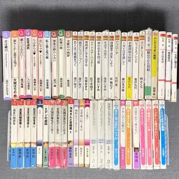 BL 소설 문고 묶음 판매 51권