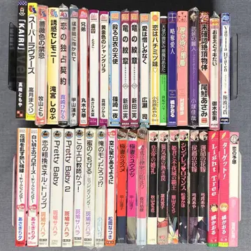 BL 소설 노벨스 묶음 판매 42권