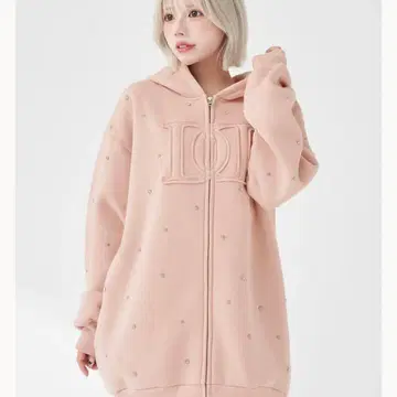 darich DD 로고 비쥬 지퍼 후드티