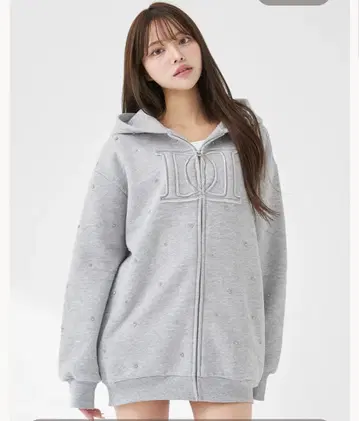 Darich DD 로고 비쥬 지퍼 후드티