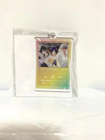 홀로스타즈 아크릴 키링 단둘이 보이스 vol.2 GIGO