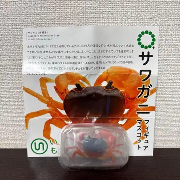 사와가니 적갈색 네이처 테크니컬러