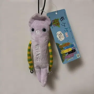 지역 모케케 사가 요부코 오징어 퍼플