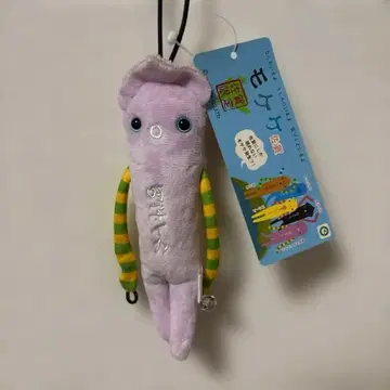 지역 모케케 사가 요부코 오징어 퍼플