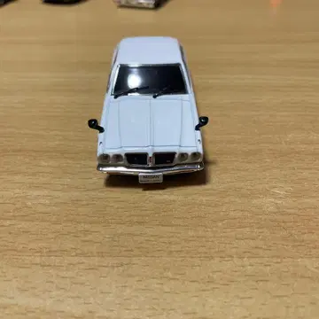 블루버드 상어 블루 미니카