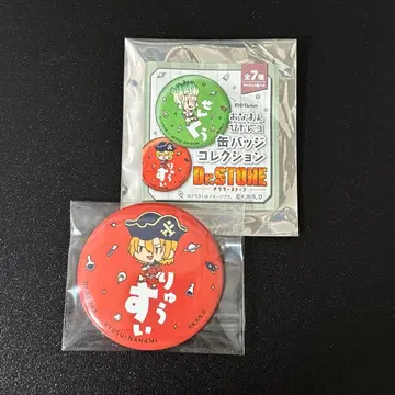Dr.STONE 오나마에피탄코 캔뱃지 컬렉션 나나미 류스이
