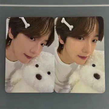 EXO BAEKHYUN 엑소 백현 백 트레이딩 카드