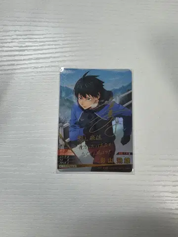 하이큐 바보카 카게야마 토비오