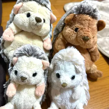 [ 즉시 구매 ] sunlemon 고슴도치 4체 세트