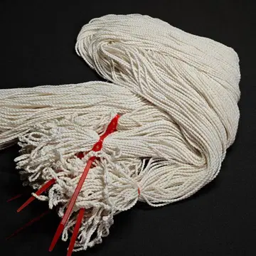 5050 슬릭 6 약 250도