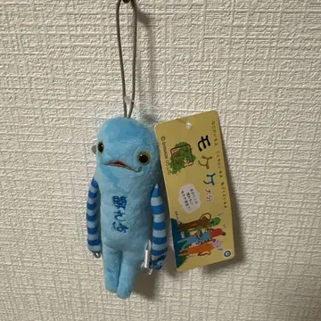 지역 모케케 오이타 세키 고등어