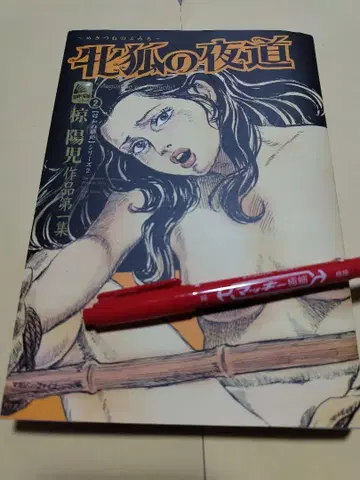 [ 쇼와 시대 화가 시리즈 ] 무쿠 요우지 작품 암여우의 밤길