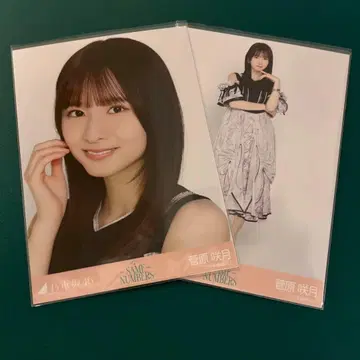 노기자카46 스가와라 사츠키 same numbers 브로마이드 세미컴프