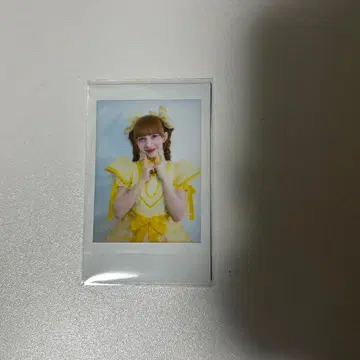 FRUITS ZIPPER 후루파 오미카이 프린트 폴라로이드 하야세 노엘