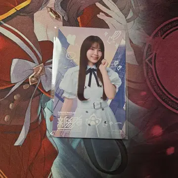 노기자카46 모리히라 레이신 신참자 2025 솔로 카드