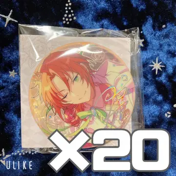 앙스타 중국 성방 캔뱃지 츠키나가 레오