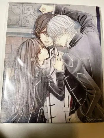 뱀파이어 기사 히노 마츠리 원화전 캔버스 아트