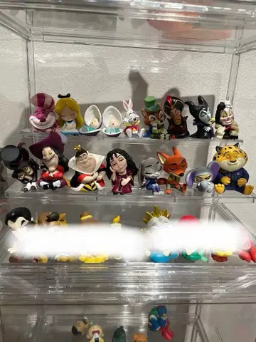 어깨 쿵 디즈니 컴플리트 세트