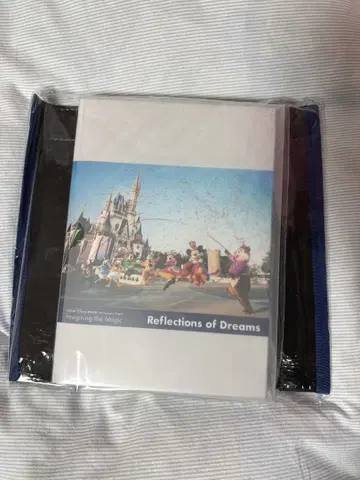 도쿄 디즈니 리조트 Reflections of Dreams