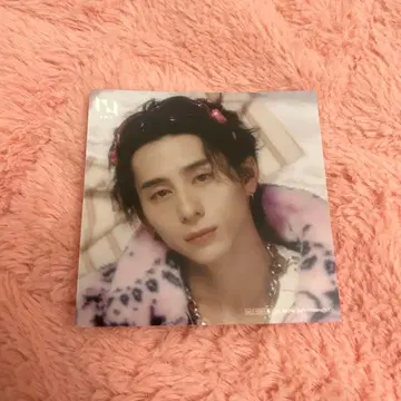 니시 코토 마사루 TSUTAYA 특전 윈 마지 마시카쿠 프로마이드