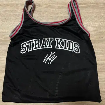 Straykids 에코파 스타디움 업그레이드 특전 굿즈 에코백