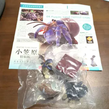 네이처 테크니컬러 오가사와라 특장판 보라 집게