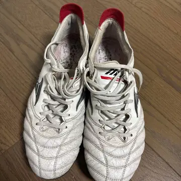 모렐리아 네오 3