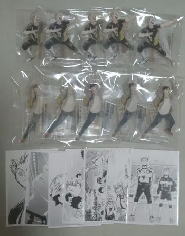 하이큐 크로니클