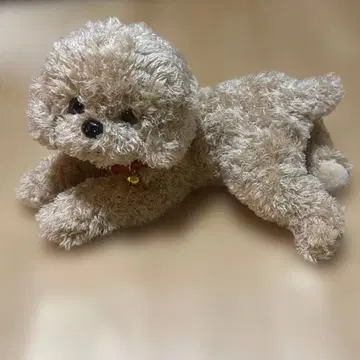 토이 푸들 봉제 인형